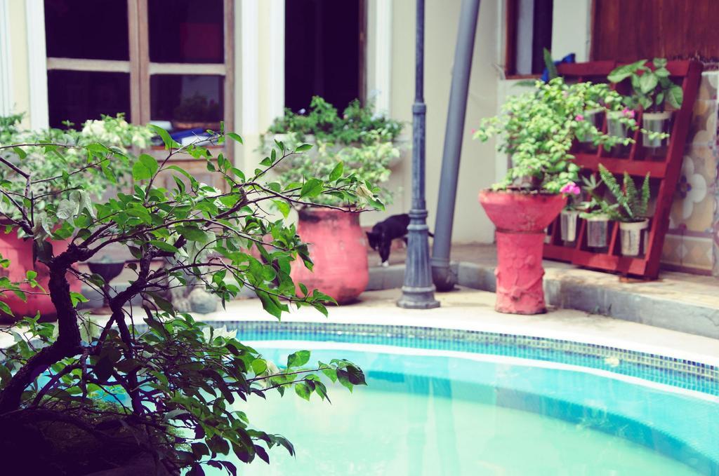 Hostal Sonati León 外观 照片